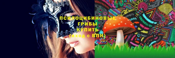 прущая мука Медногорск