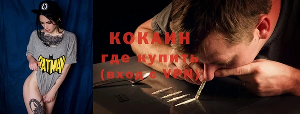 крисы Мегион