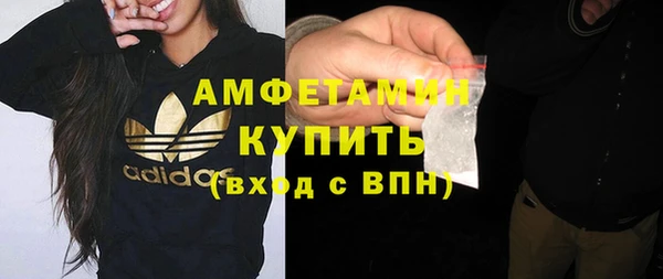 крисы Мегион
