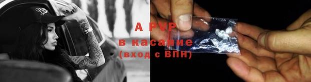 гашик Майский