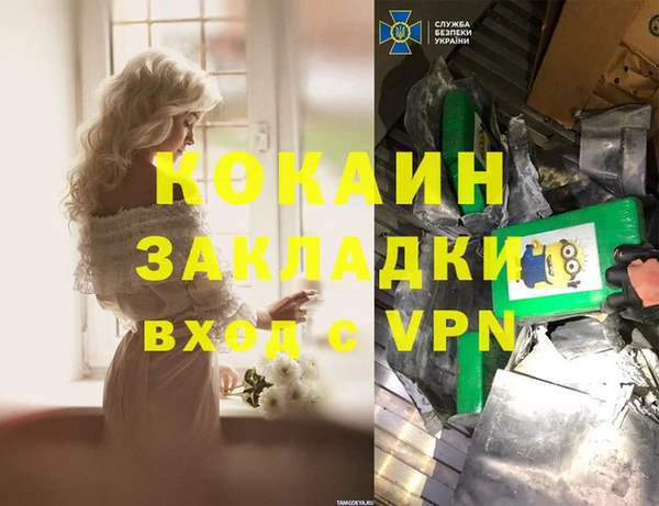 крисы Мегион