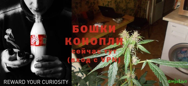 крисы Мегион
