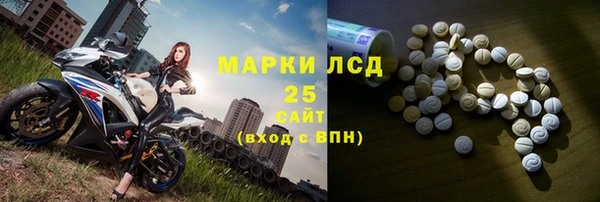 крисы Мегион