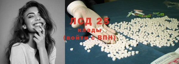 крисы Мегион