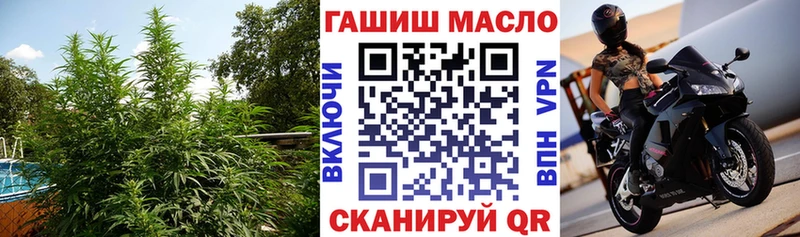 где продают наркотики  Волгоград  мориарти наркотические препараты  Дистиллят ТГК THC oil 