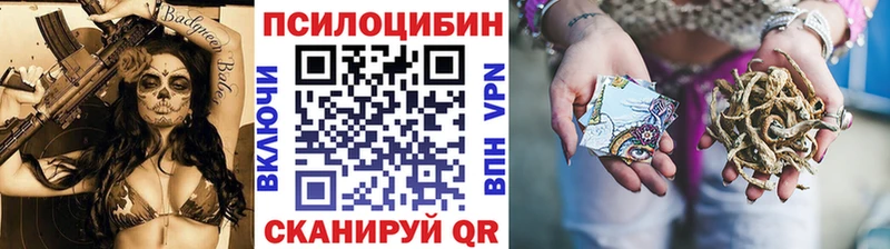 Галлюциногенные грибы Psilocybine cubensis  Волгоград 