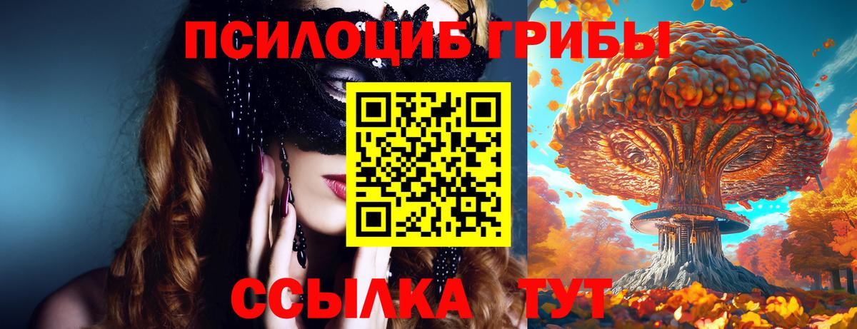 Псилоцибиновые грибы мицелий  купить наркоту  Волгоград 