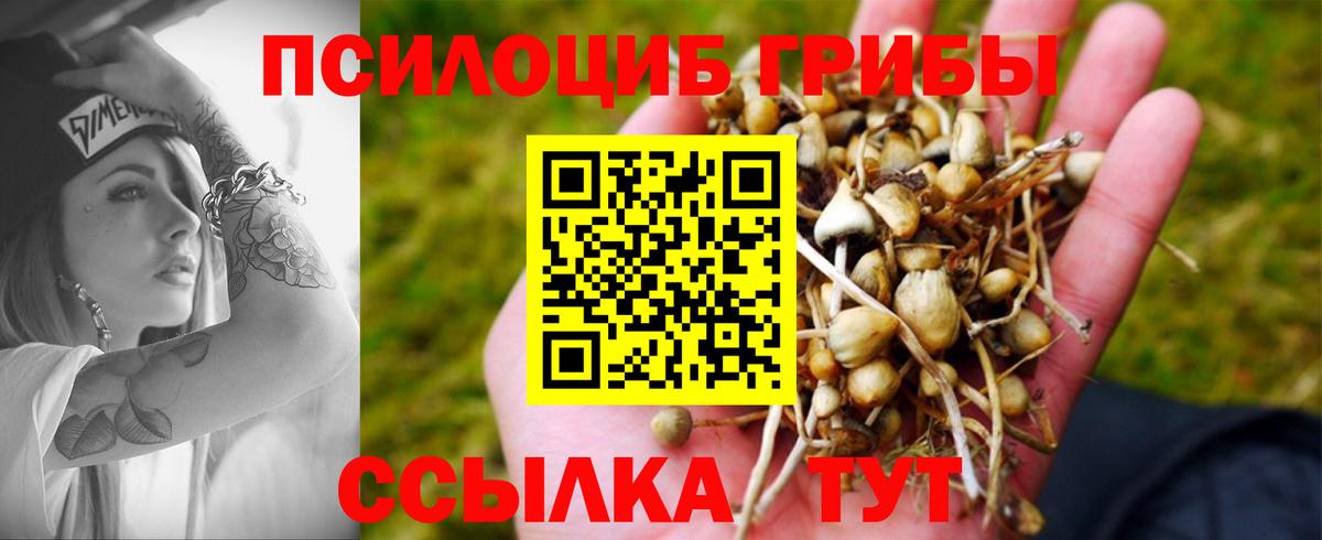 Галлюциногенные грибы Magic Shrooms Волгоград